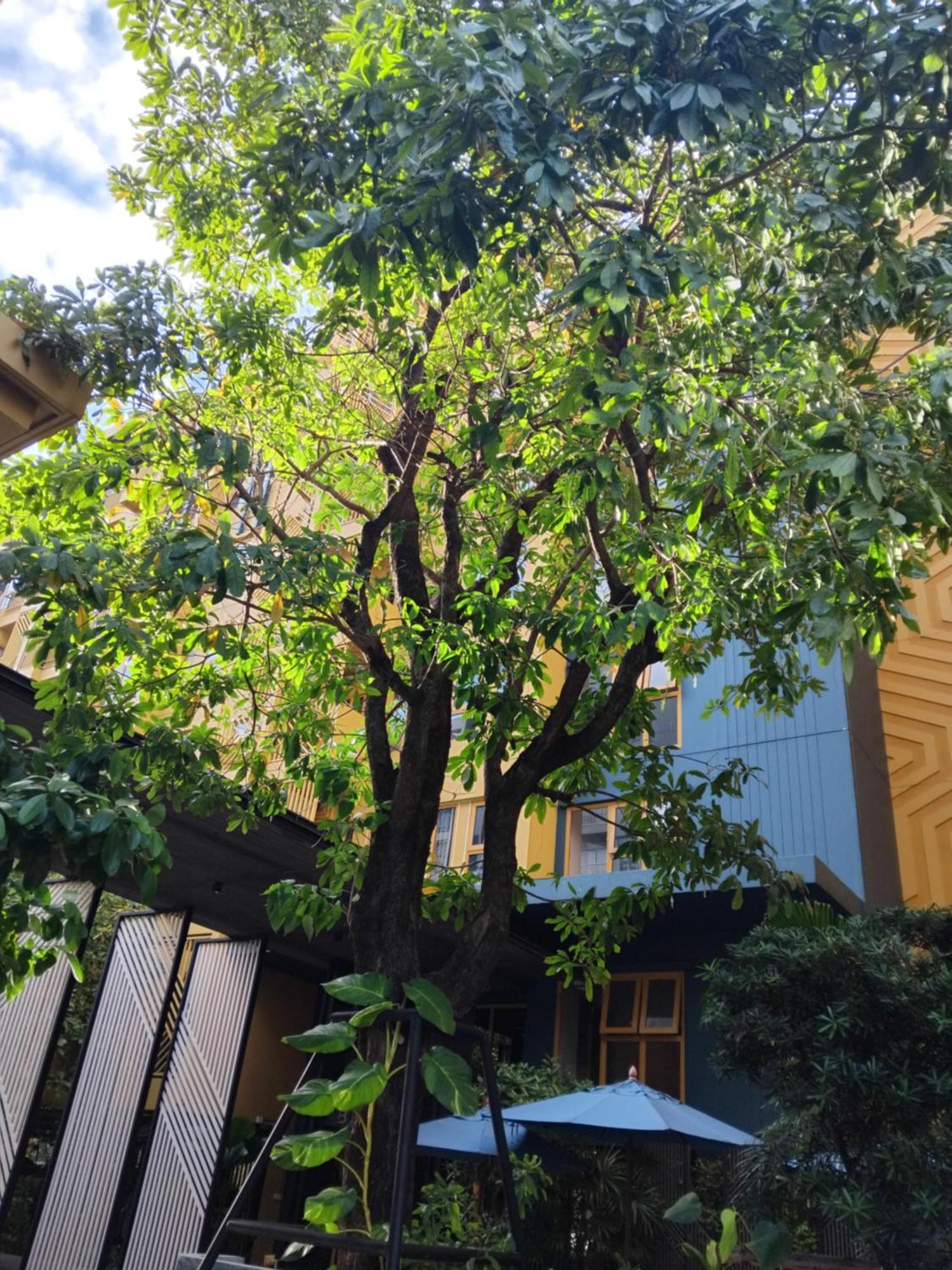 Brissluxe At Bts Onnut Sukumvit 50 Apartment กรุงเทพมหานคร ภายนอก รูปภาพ